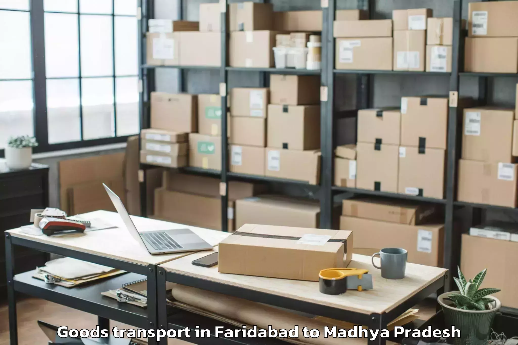 Book Faridabad to Manawar Goods Transport Online